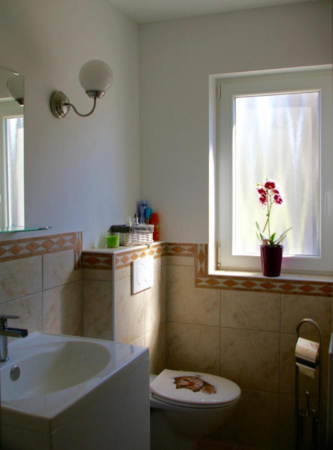 Apartma Marija メトリカ エクステリア 写真